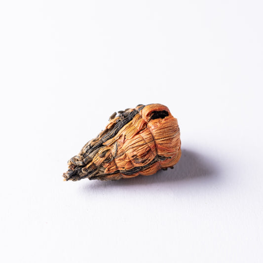 Pyramide Orange Black