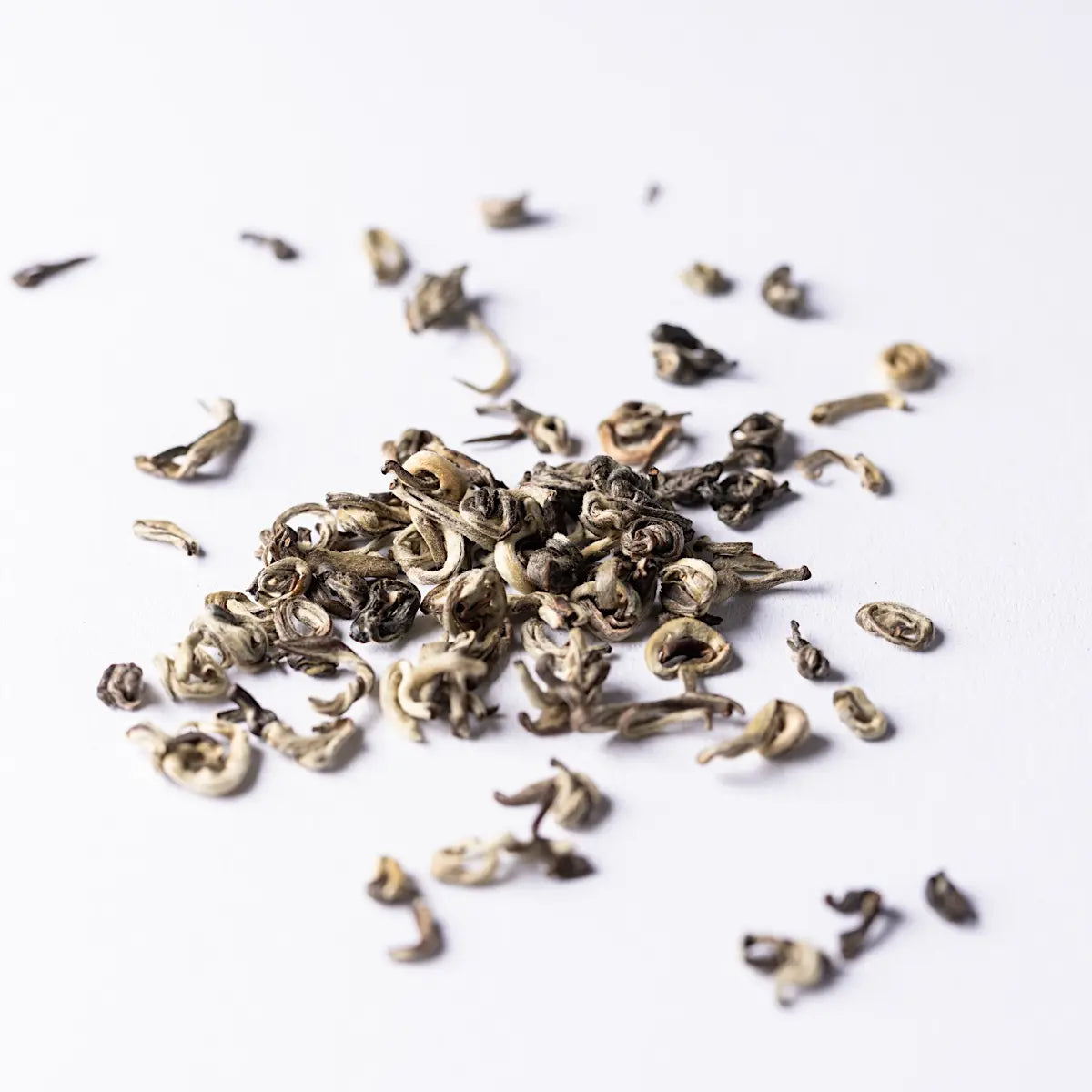 White Snail Weisser Tee