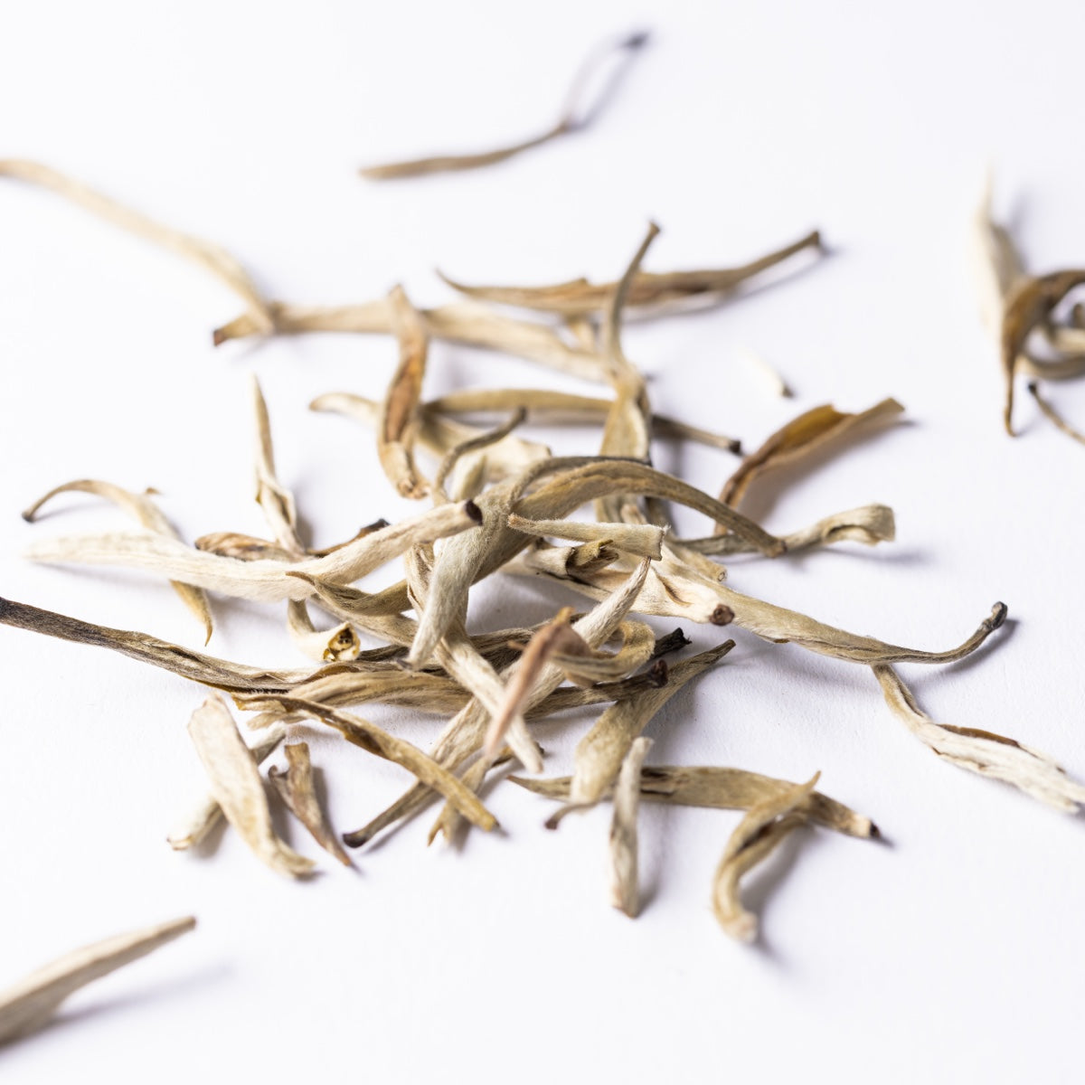 Jasmin Fancy Flowery Pekoe Weisser Tee