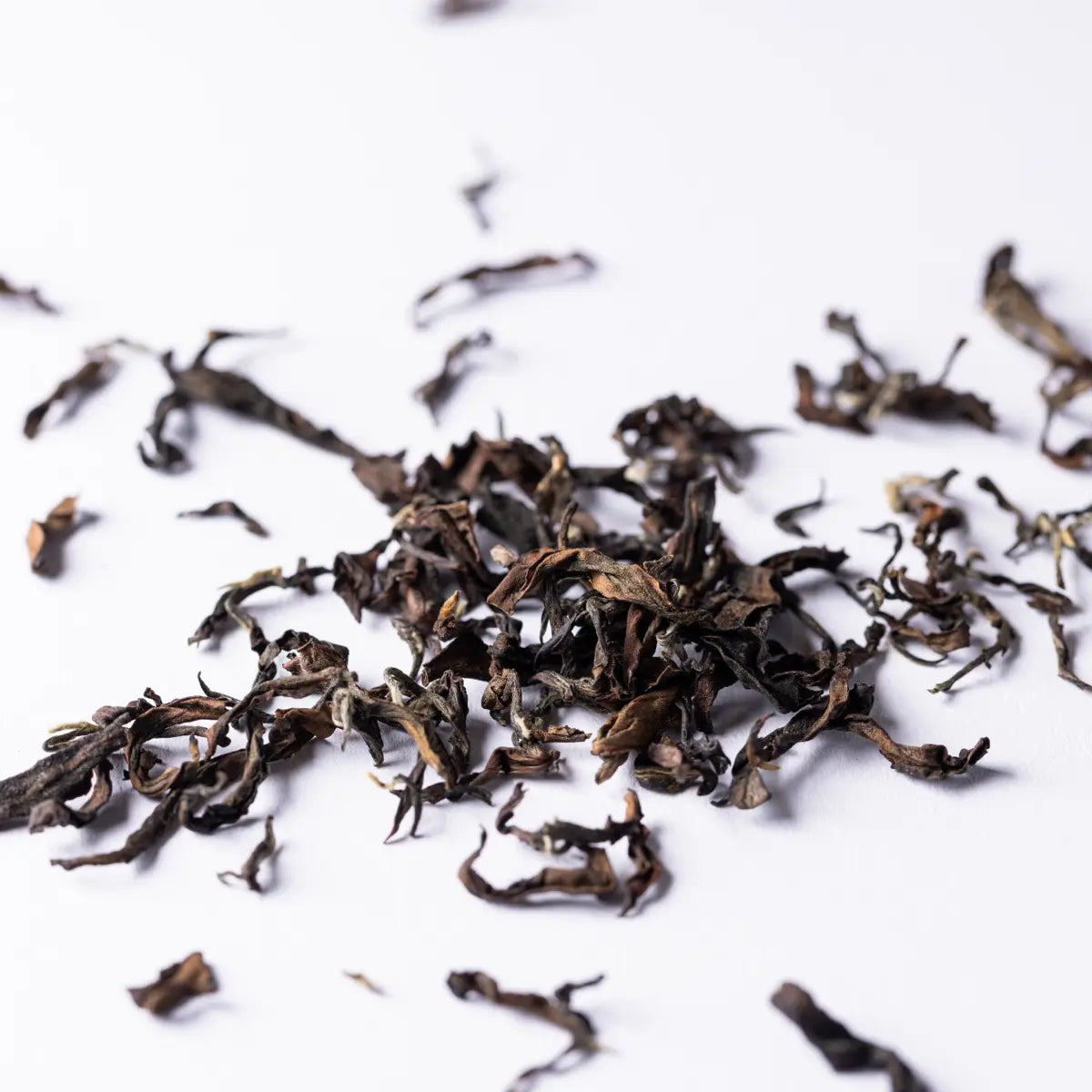 China Oolong Butterfly Primeur