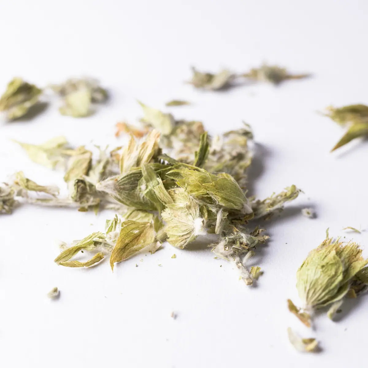 Griechischer Bergtee 50g Pkg