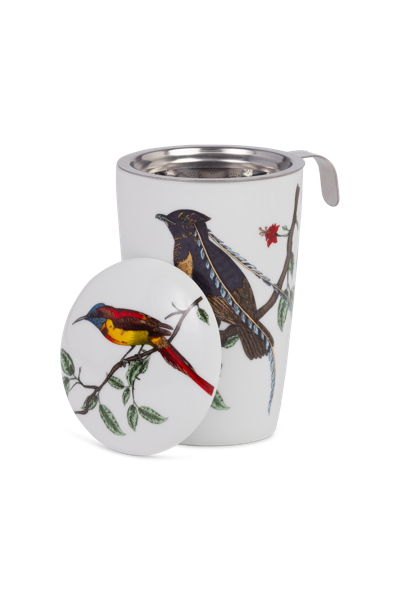 Teacup Bird