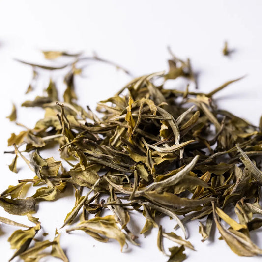 Darjeeling Top of Season White Pearl • limited edition