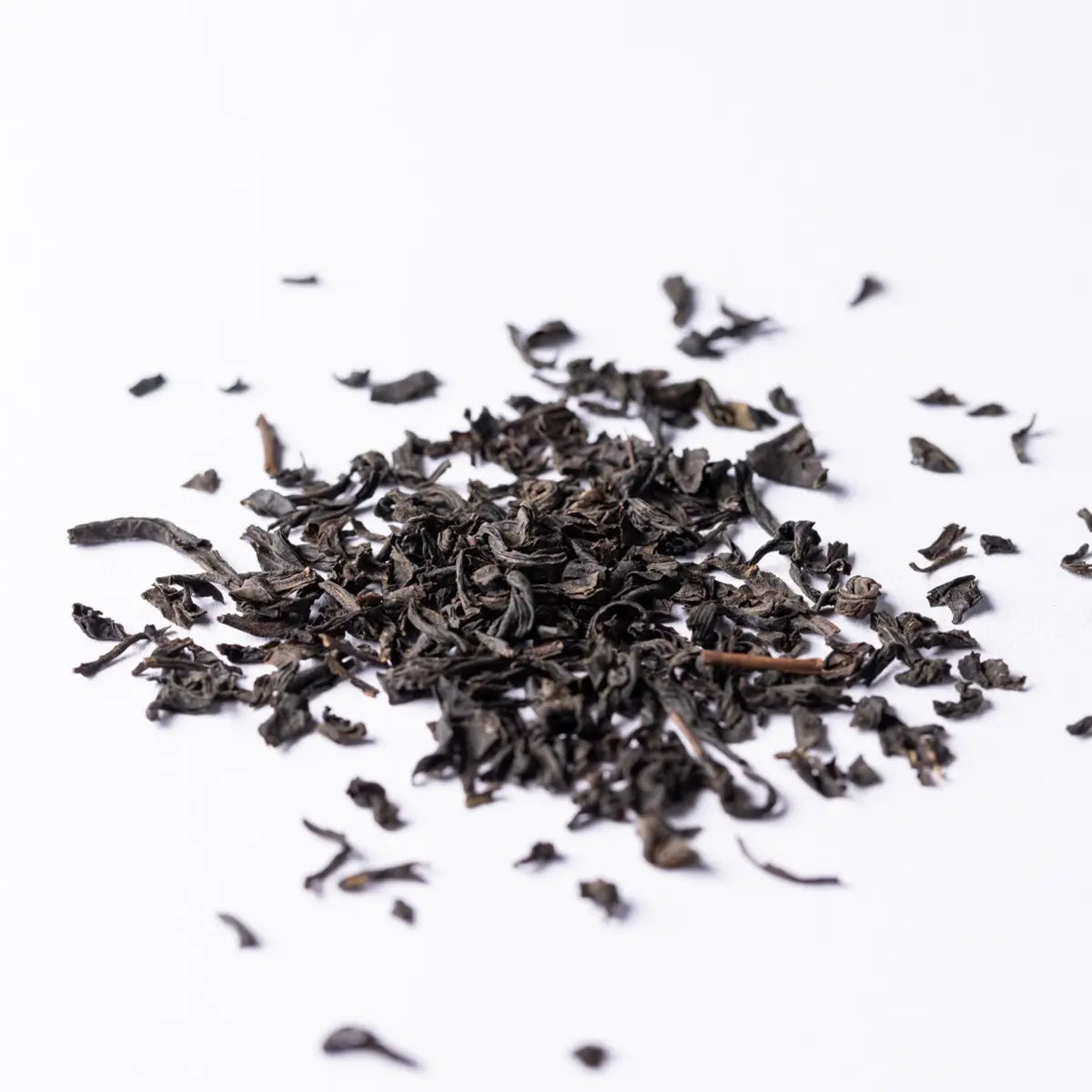 Lapsang Souchong Crocodile