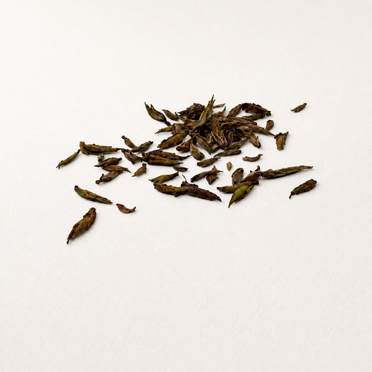 Grüner Tee Green Wild Forest Buds von Heissenberger Online