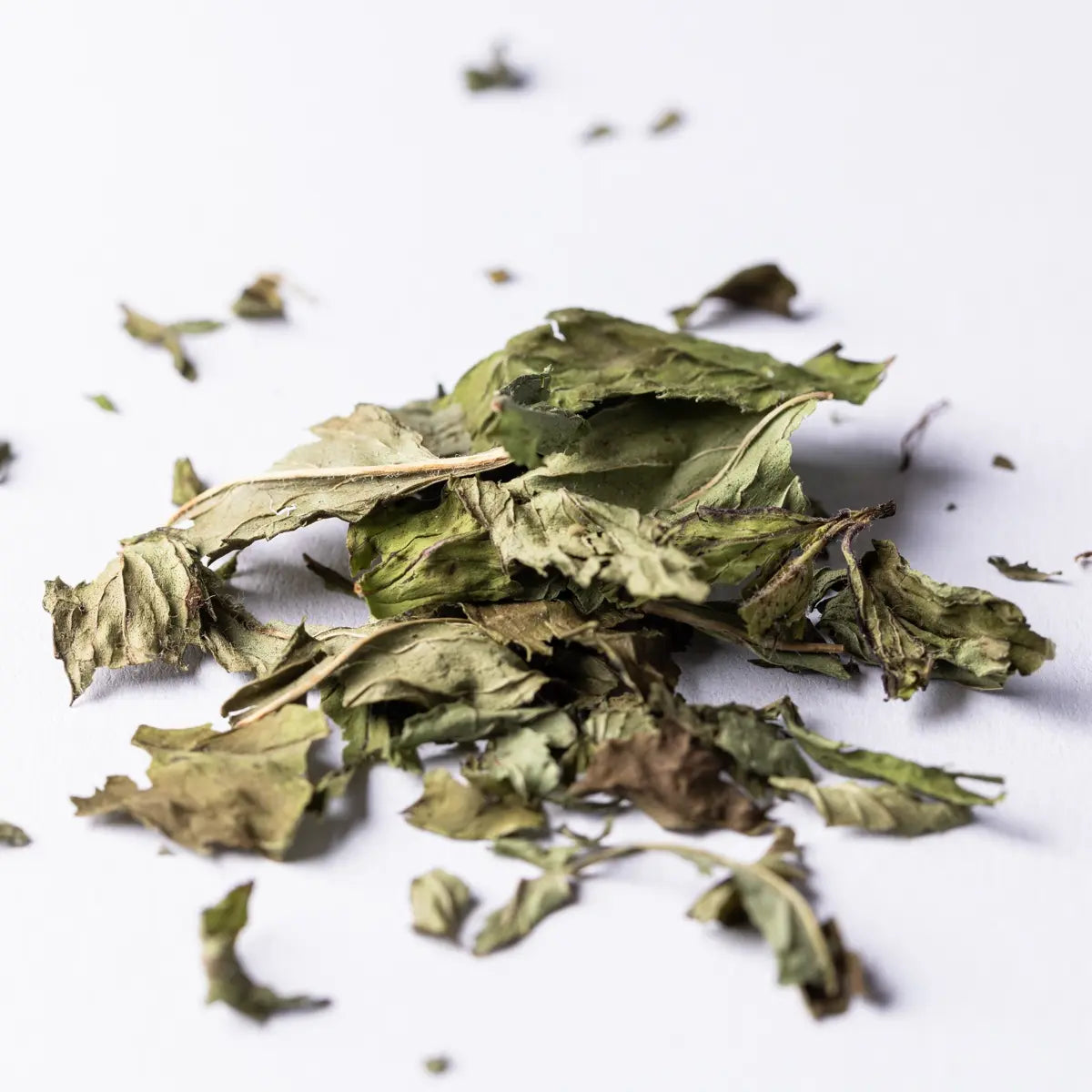 Kräutertee Marokkanische Nana Minze Tanger Ganzblatt von Heissenberger Online