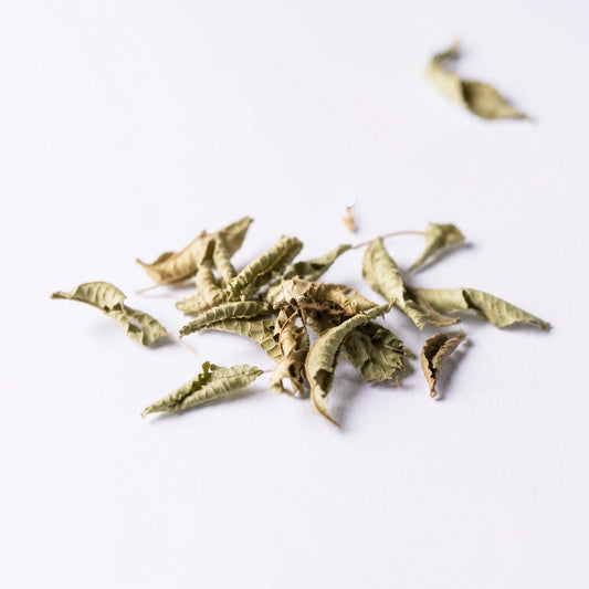 Lemon Verbena