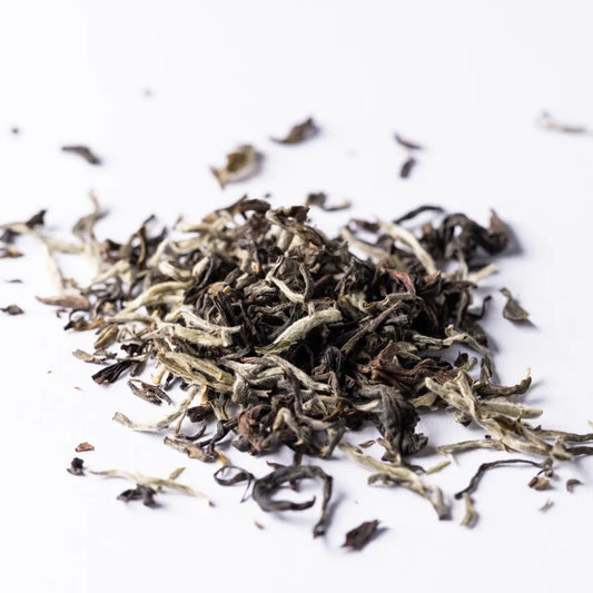 Schwarztee Darjeeling Top of Season SFTGFOP I S.F von Heissenberger Online